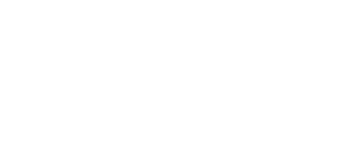 Pata Rutera